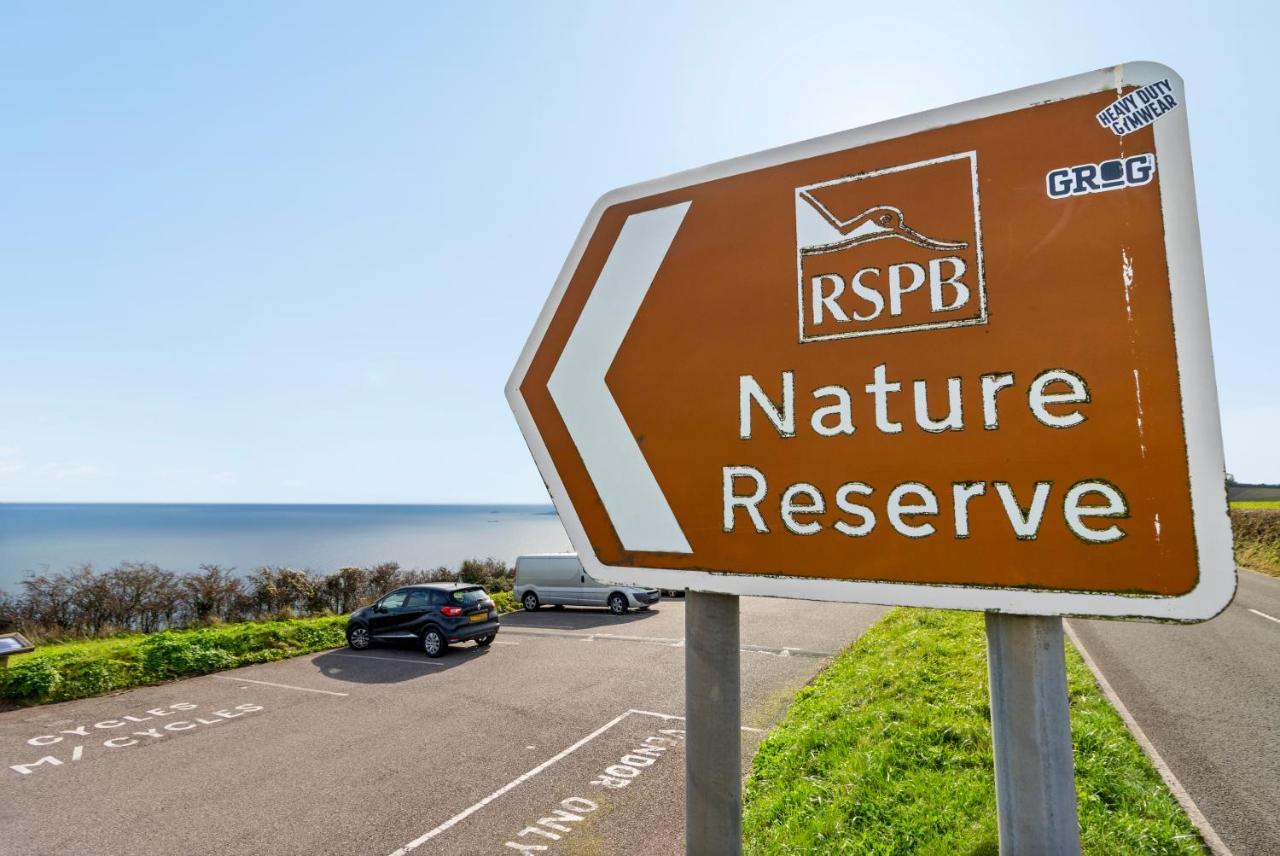 Stunning Sea View Whole Home In Torbay Close To Beach Torquay Eksteriør billede